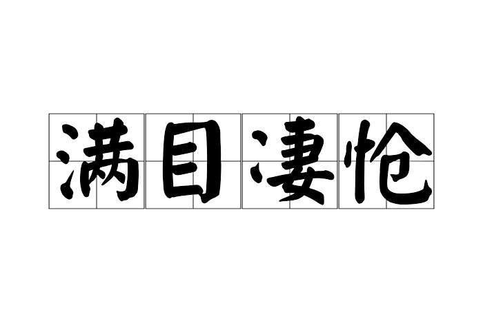 滿目悽愴 滿目悽愴