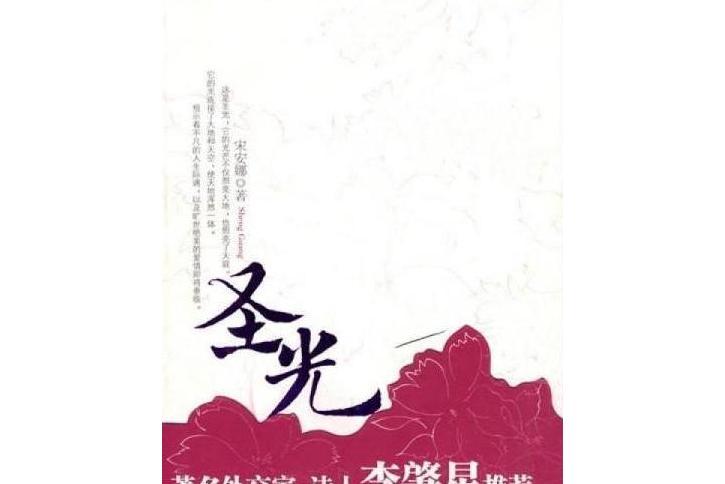 聖光(2008年新世界出版社出版的圖書) 聖光(2008年新世界出版社出版的圖書)