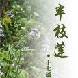 半枝蓮(十七遙小說) 半枝蓮(十七遙小說)