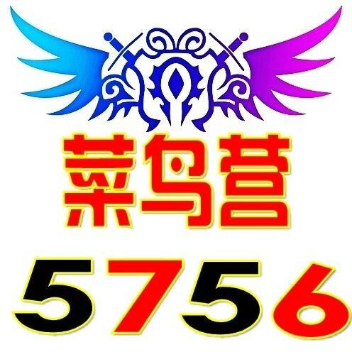 菜鳥營 菜鳥營
