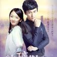 玻璃鞋(2014年周冬雨陳曉主演電視劇) 玻璃鞋(2014年周冬雨陳曉主演電視劇)