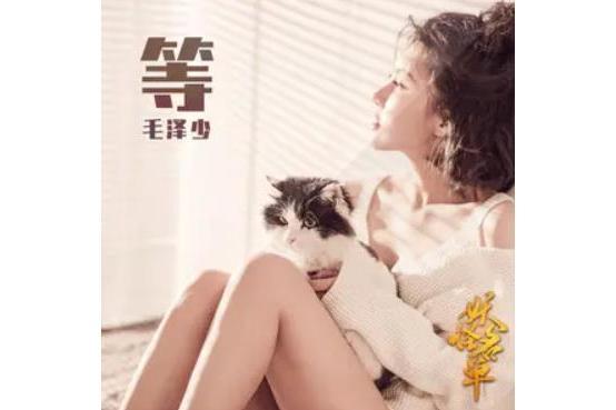 等(毛澤少演唱歌曲) 等(毛澤少演唱歌曲)