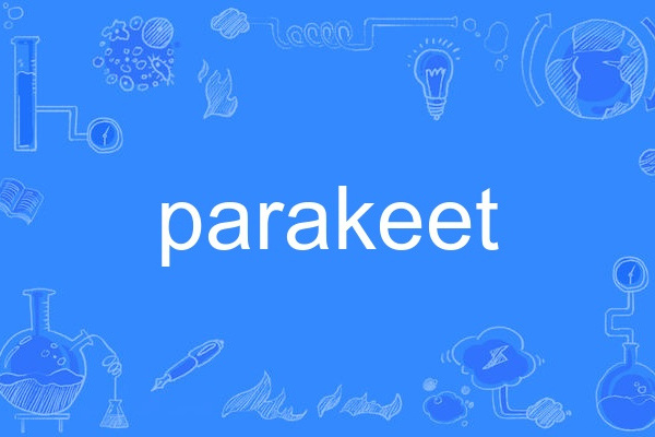 parakeet parakeet
