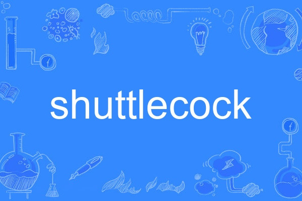 shuttlecock shuttlecock