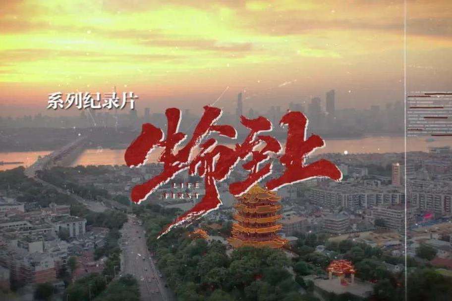 生命至上(2020年抗擊新冠肺炎紀錄片)
