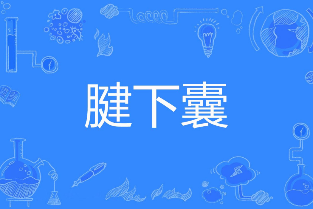 腱下囊 腱下囊
