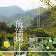 丁家山(安徽省旌德縣俞村鄉東部山) 丁家山(安徽省旌德縣俞村鄉東部山)