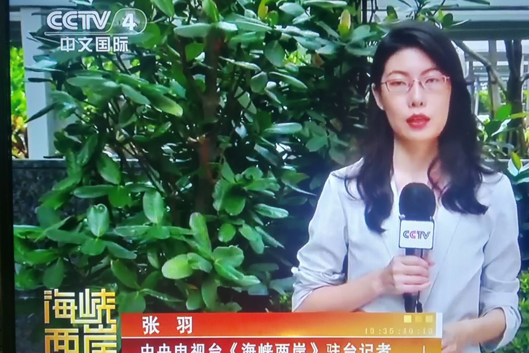 張羽(總台央視《海峽兩岸》駐台灣記者) 張羽(總台央視《海峽兩岸》駐台灣記者)