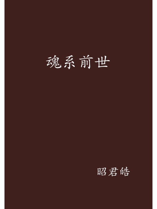 魂系前世 魂系前世