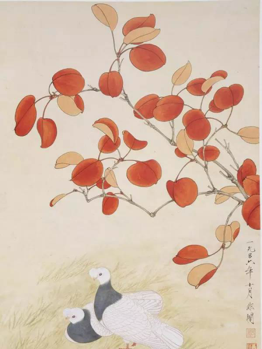 紅葉鴿子 紅葉鴿子
