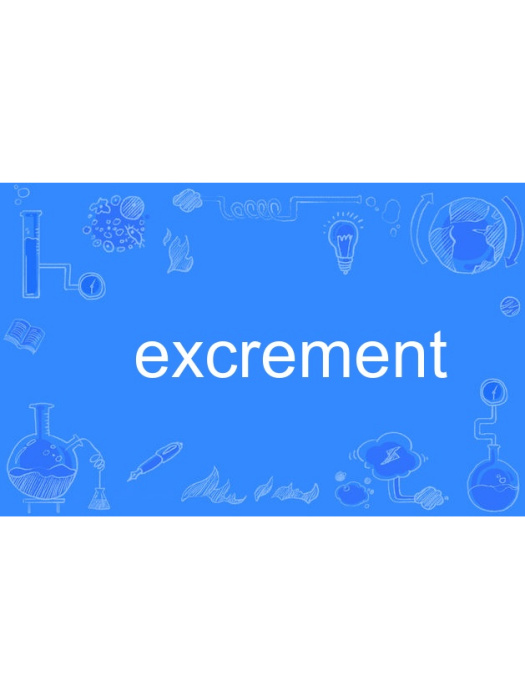 excrement excrement