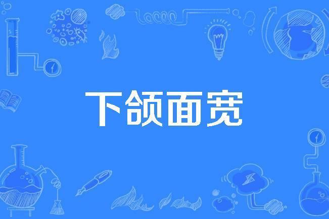 下頜面寬 下頜面寬