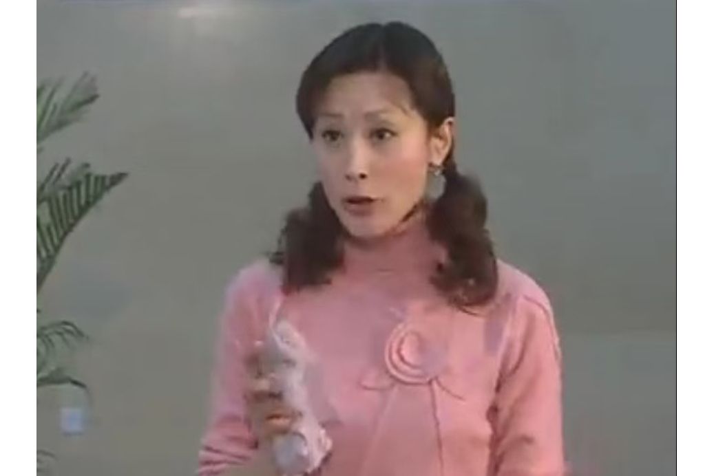 靈芝(家庭倫理劇《不嫁則已》中的角色)