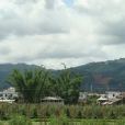 曼賀村(雲南省西雙版納州勐海縣勐海鎮曼賀村) 曼賀村(雲南省西雙版納州勐海縣勐海鎮曼賀村)