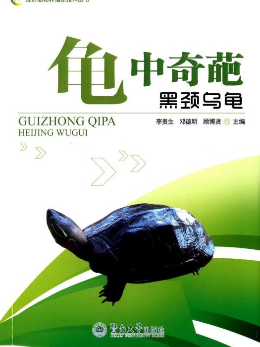 龜中奇葩 龜中奇葩
