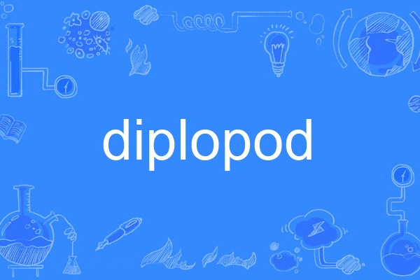 diplopod diplopod