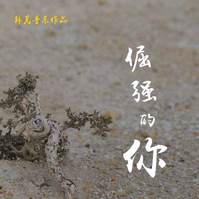 倔強的你 倔強的你