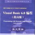 Visual Basic 6.0編程提高版英文原版