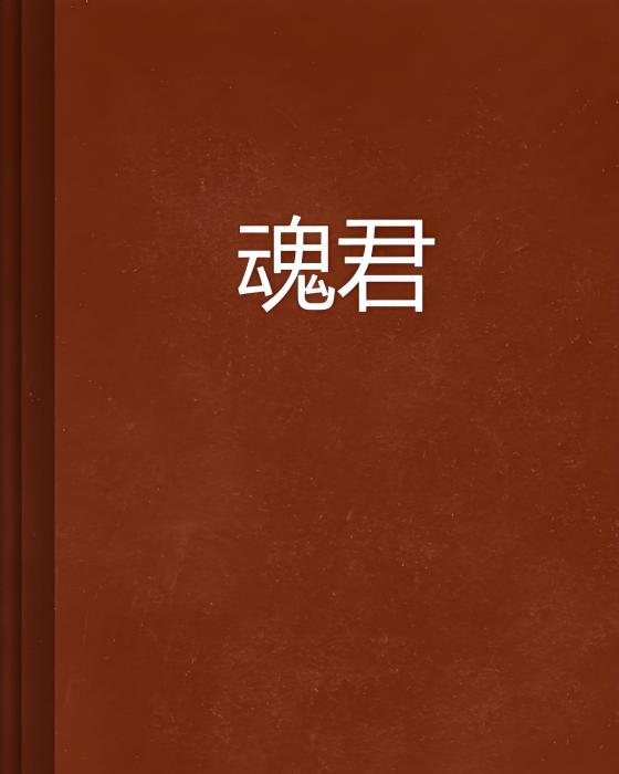 魂君 魂君