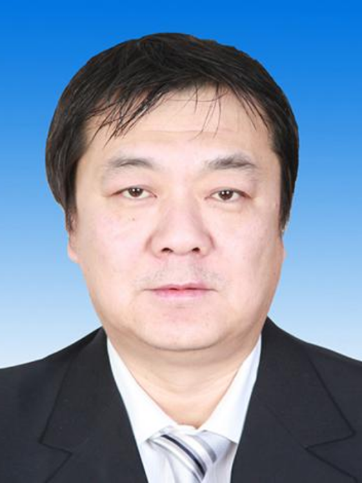 楊勇(北京市順義區南法信地區黨委委員、辦事處副主任、副鎮長、三級調研員)