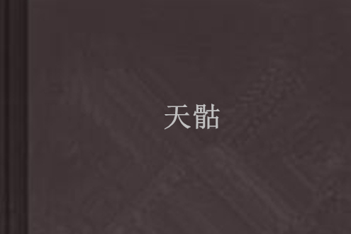 天骷 天骷