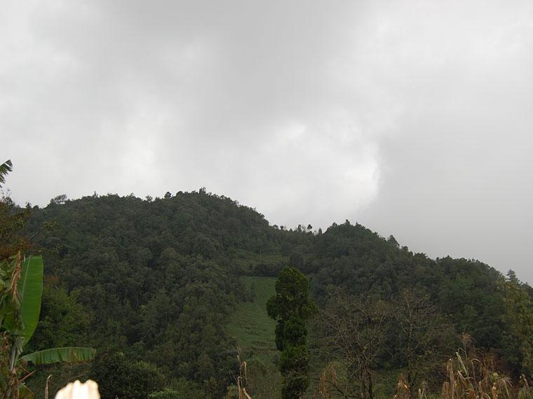 拉竹山自然村-山林資源