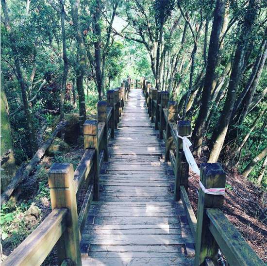 象山步道 象山步道