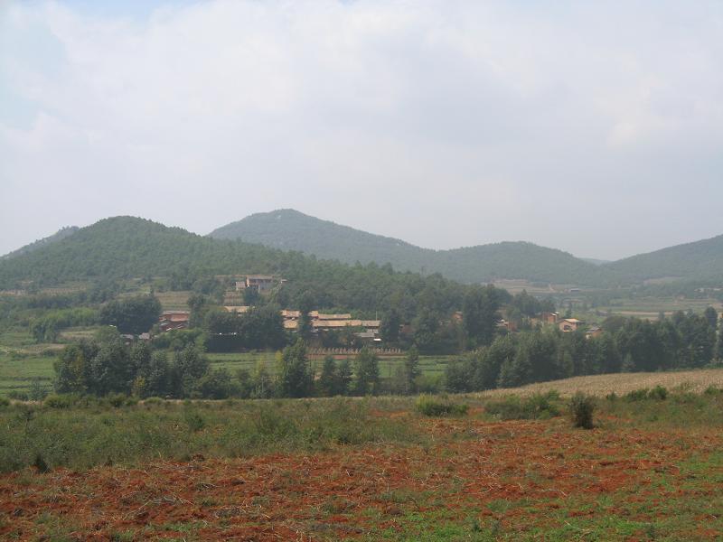 黑泥溝村(雲南省尋甸縣金所鄉下轄村)