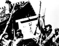 東北1947年夏季攻勢