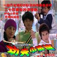 功夫之王(功夫小英雄) 功夫之王(功夫小英雄)