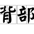 背部 背部