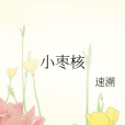 小棗核 小棗核