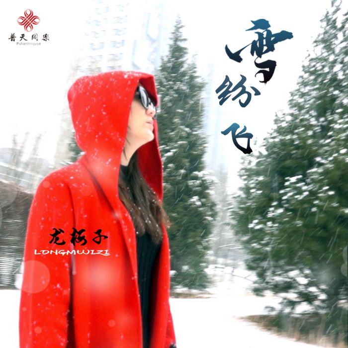 雪紛飛(龍梅子演唱歌曲) 雪紛飛(龍梅子演唱歌曲)