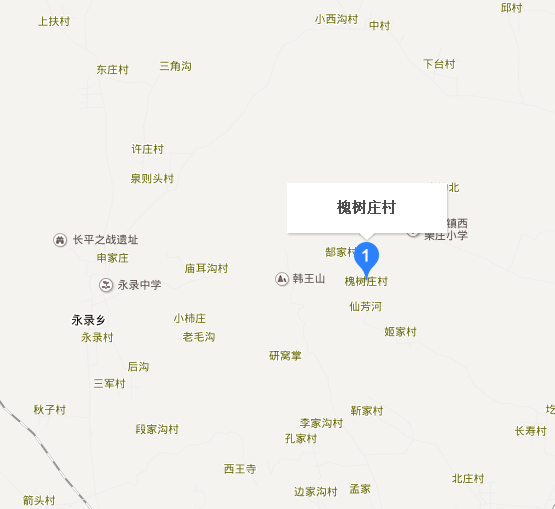 槐樹莊村(山西省高平市三甲鎮下轄村) 槐樹莊村(山西省高平市三甲鎮下轄村)