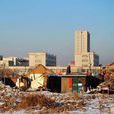 就地城市化 就地城市化