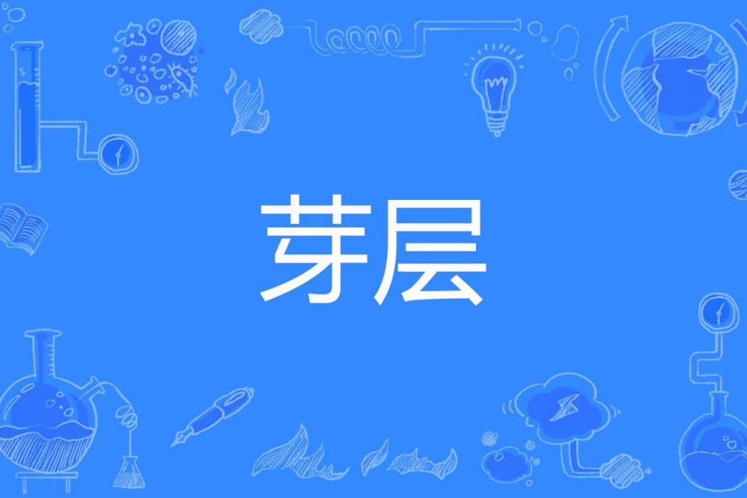芽層 芽層
