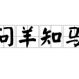 問羊知馬
