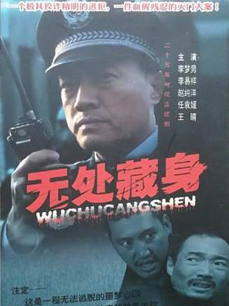 高萍(中國內地女演員)