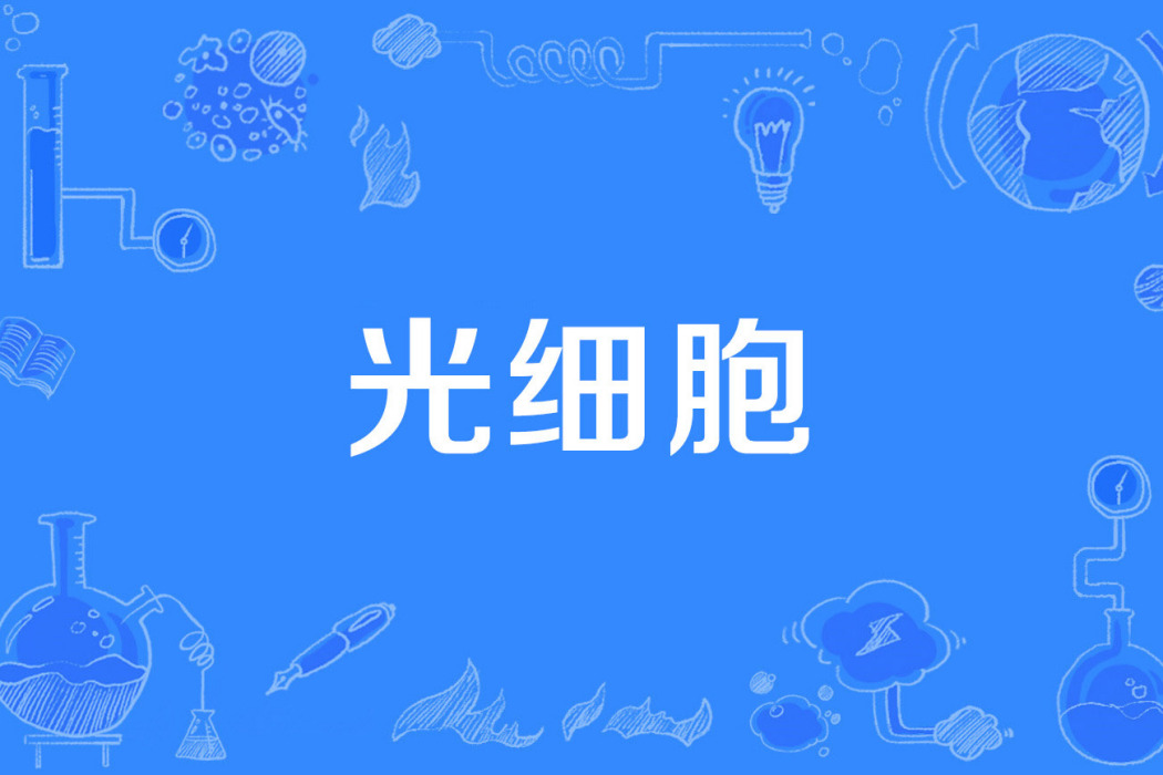 光細胞 光細胞