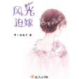 風光迫嫁 風光迫嫁