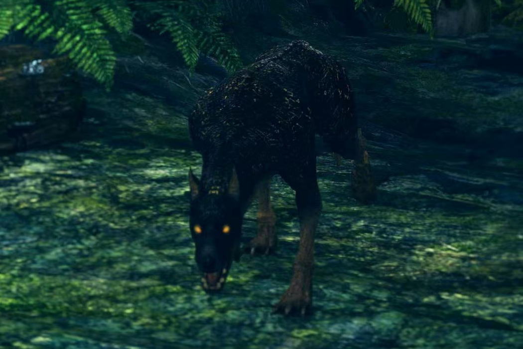 不吉犬