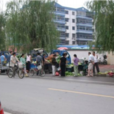 沁慧園 沁慧園