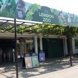 倫敦動物園 倫敦動物園