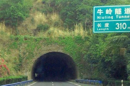 牛嶺隧道 牛嶺隧道