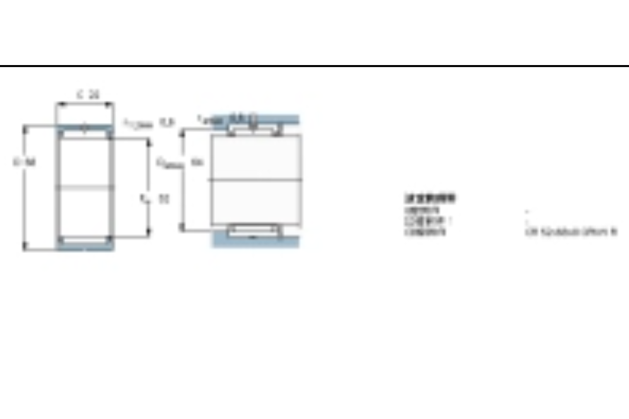 SKF RNA4909軸承 SKF RNA4909軸承
