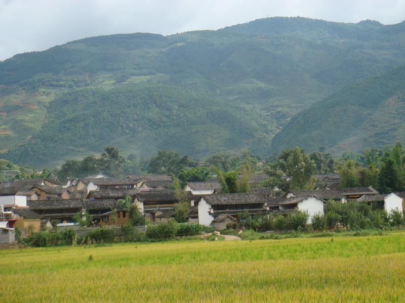 綠竹寨村 綠竹寨村