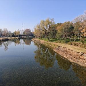 沈楊村