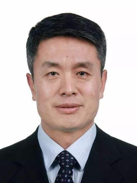 張建平(中國商務部國際貿易經濟合作研究院學術委員會副主任) 張建平(中國商務部國際貿易經濟合作研究院學術委員會副主任)