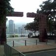 青衣海濱公園 青衣海濱公園