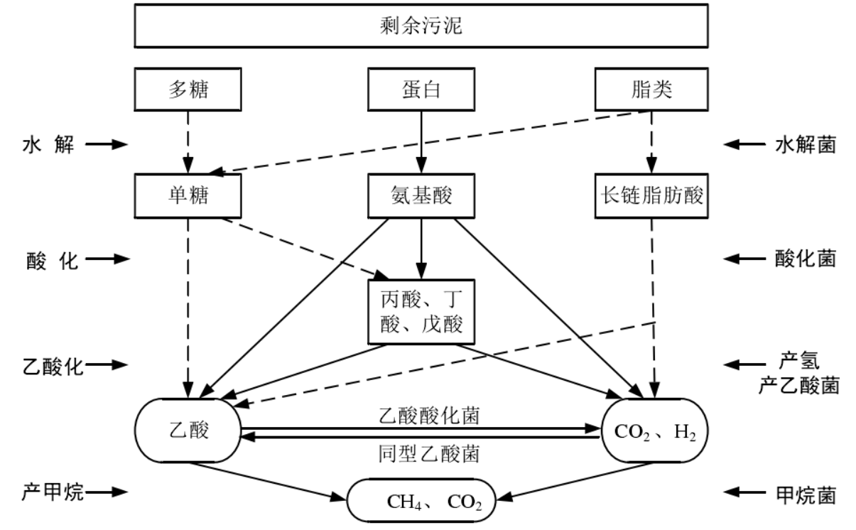 圖1. 厭氧消化工藝模型
